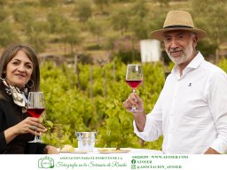 Festival Mar de Tethys 2026 - Bodega Vetas